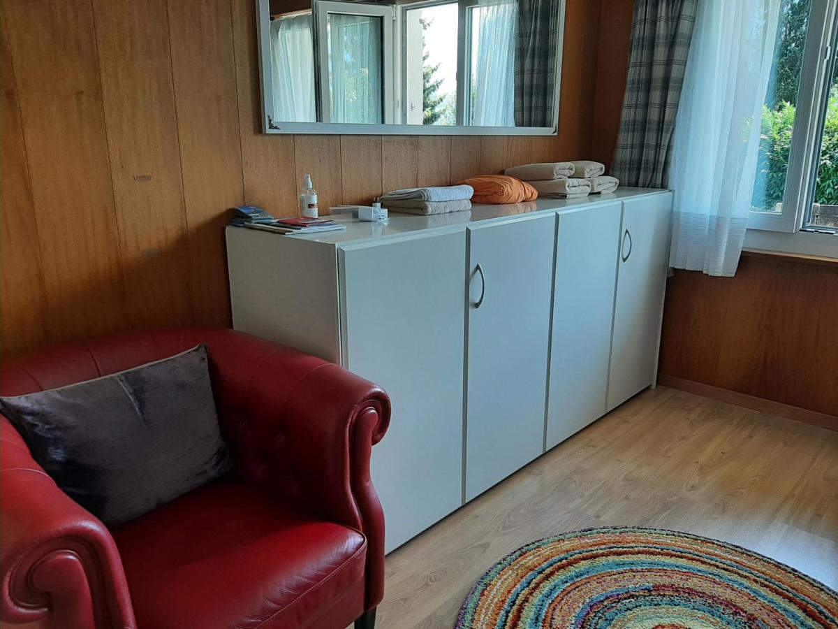 Chalet Apartment By Interlaken. Parking Рингенберг Екстериор снимка